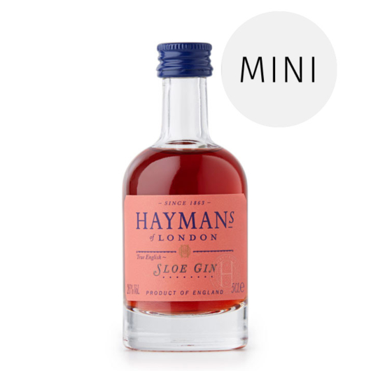 Hayman’s Sloe Gin Miniatur / 26 % vol. / 0,05 Liter-Flasche