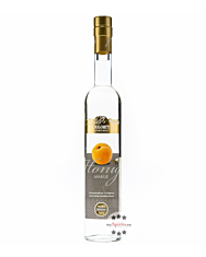 Dolomiti: Honig Marille - Premium Schnaps / 35% Vol. / 0,5 Liter - Flasche