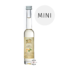 Prinz: Alte Marille Miniatur / 41 % Vol. / 0,04 Liter-Flasche