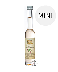 Prinz: Alte Wald-Himbeere Miniatur / 41 % Vol. / 0,04 Liter-Flasche