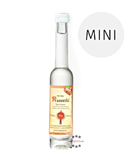 Prinz: Nusserla Miniatur / 34 % Vol. / 0,04 Liter-Flasche