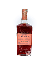 Hayman’s Sloe Gin Bittersüßer Schlehen-Gin aus England / 26 % vol. 0,7 Liter-Flasche