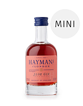 Hayman’s Sloe Gin Miniatur / 26 % vol. / 0,05 Liter-Flasche