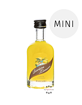 Marzadro Limoncino Zitronenlikör „Riviera dei Limoni“ Limoncello Miniatur / 30 % Vol. / 0,03 Liter-Flasche