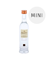 Marzadro: Grappa La Trentina Tradizionale / 41 % Vol. / 0,04 Liter-Flasche 