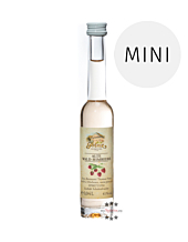 Prinz: Alte Wald-Himbeere Miniatur / 41 % Vol. / 0,04 Liter-Flasche