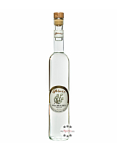 Prinz Wacholder Schnaps / 40 % Vol. / 0,5 Liter-Flasche