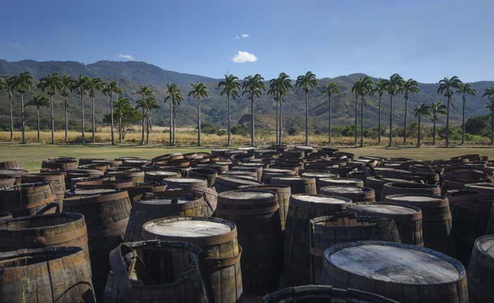 Holzfässer in denen Rum gelagert wird