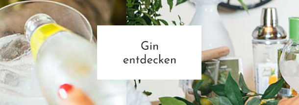 Gin, Sloe Gin & mehr bei myspirits.eh bestellen!